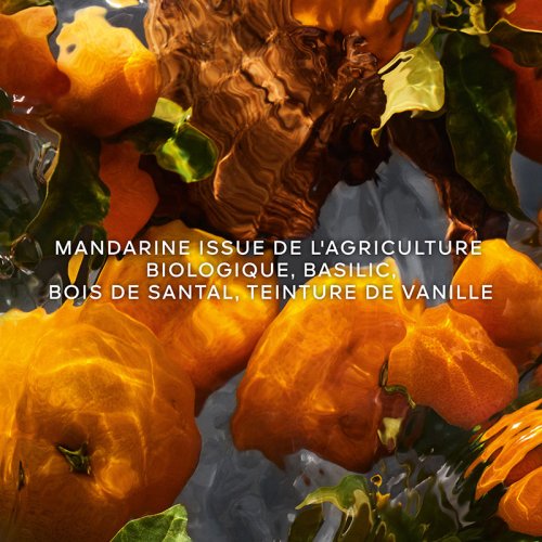 GUERLAIN Aqua Allegoria Mandarine Basilic Forte - Duftset Eau